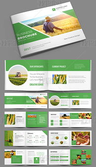 PSD农产品公司 从优质素材到专业网站设计的全方位指南